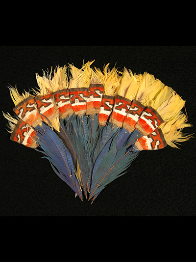 Keeping Feathers Off Hats–and On Birds, History