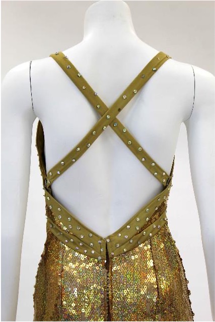 2015 Iridescent Gold Sequin Uniform, Back Detail